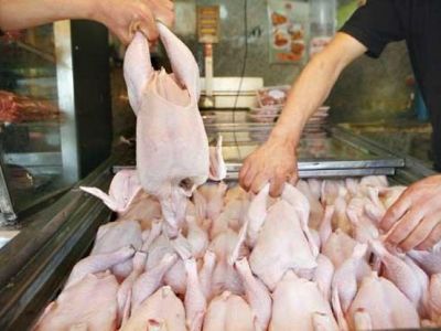 مصرف مرغ در تهران طی یک هفته ۶۰۰ تن افزایش یافت