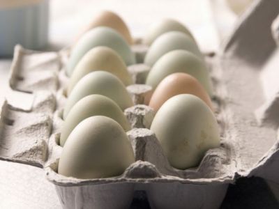 چرا بازار تخم‌مرغ ملتهب شد؟