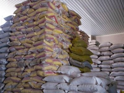 عباسی: برنج خارجی به قیمت نیم‌ دلار وارد کشور می‌شود