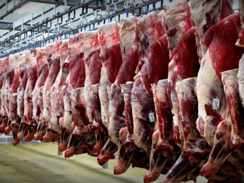 سرانه مصرف گوشت قرمز به نصف کاهش یافت