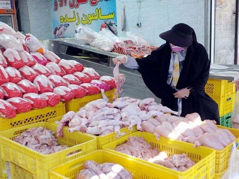 نماینده مجلس: دولتمردان درباره بازار مرغ آمار غلط می‌دهند/ در حال واردات مرغ از ترکیه هستیم