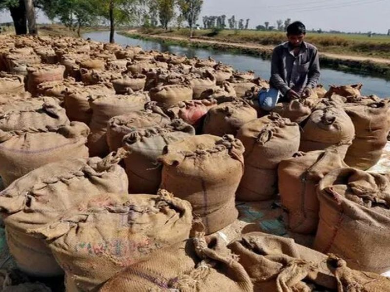 پایان گرانی برنج هندی