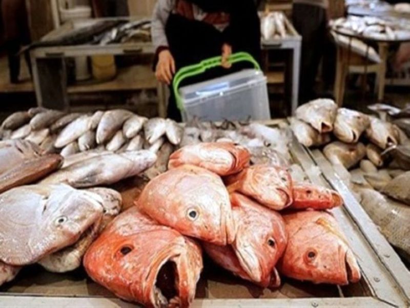 قیمت ماهی سفید از ۴۰۰ هزار تومان گذشت